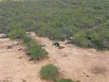 9538 Fm 1333 - Photo 22