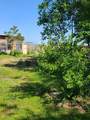 1236 Road 5210 - Photo 6