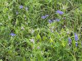TBD Us Hwy 90A - Photo 7