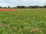 TBD Us Hwy 90A - Photo 8