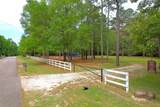 Lot 7 Ranch Trail Court - Photo 7