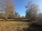 761 County Road 3556 - Photo 9
