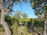 Lot 32 Rambling Oaks Drive - Photo 12