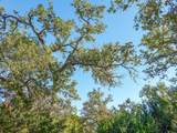 Lot 32 Rambling Oaks Drive - Photo 4