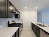 657 Appaloosa Meadow - Photo 14