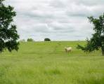 1716 Cr 469 - Photo 5