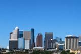 2910 Milam St Street - Photo 6