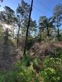 TBD White Oak Drive - Photo 2