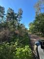 TBD White Oak Drive - Photo 4