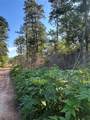 TBD White Oak Drive - Photo 7