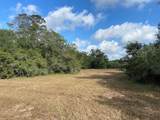 000 Loose Cow Road - Photo 10