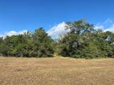 000 Loose Cow Road - Photo 12