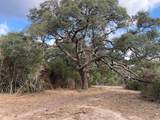 000 Loose Cow Road - Photo 9