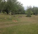 TBD-A Garrett Road - Photo 9