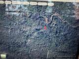 Lot 34 Frank Ln - Photo 2