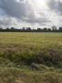 000 Brahman Trail - Photo 1