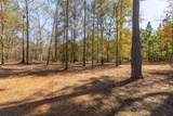27688 Rio Blanco Drive - Photo 46