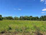 TBD County Road 245 - Photo 5