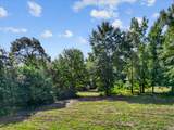 TBD Felix Currie Road - Photo 12