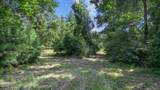 TBD Felix Currie Road - Photo 25