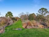 16195 Marsh Road - Photo 8