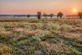 TBD Flat Prairie Road - Photo 7