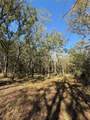 9367 Fm 149 Road - Photo 3
