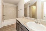 2635 Bouvardia Way - Photo 13