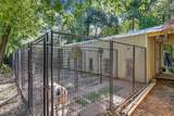619 Lakeville Drive - Photo 8