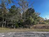 165 Pine Harbour Drive - Photo 3