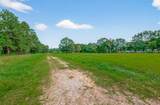 905 County Road 379 - Photo 12