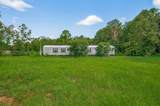 905 County Road 379 - Photo 8