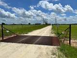 P2L16 Limestone County Road 463 - Photo 2