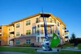 817 Colcord Ave - Photo 4