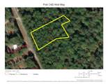 Lot 308 N/2 Lumbermans Road - Photo 3