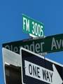 0000 Oleander - Photo 4