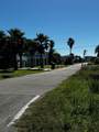 0000 Oleander - Photo 7