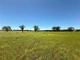 TBD 35 Acres Fm 2547 - Photo 35