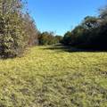 12124 County Road 122 - Photo 2
