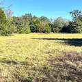 12124 County Road 122 - Photo 3