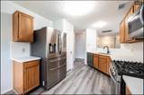 4317 Plover Drive Drive - Photo 8