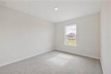 10906 Ozone Court - Photo 29