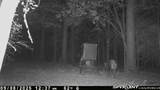 000 Fm 1013 - Photo 10