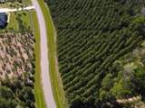 15761 Ridge Rock Road - Photo 6