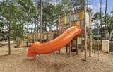 407 Soapberry Tree Court - Photo 43