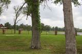 15674 Forest Grove Drive - Photo 12