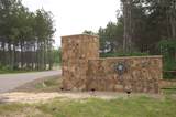 15674 Forest Grove Drive - Photo 5