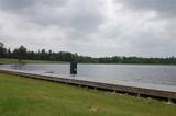 15674 Forest Grove Drive - Photo 8