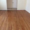 4002 Mischire Drive - Photo 12