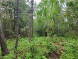 20122 Meadow Lake Road - Photo 12